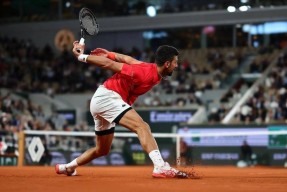 关于德约科维奇迎来三赛季高光表现，瑞士队球迷沸腾！的信息